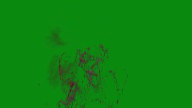 Bu 4K Kan Sıçratma Yeşil Ekran Efekti film yapımcıları, video editörleri ve içerik yaratıcıları için korku sahnelerine dramatik ve gerçekçi bir sıçrama eklemek için temel bir değerdir.