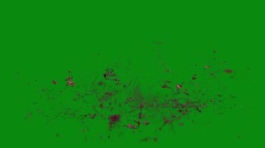 Bu 4K Kan Sıçratma Yeşil Ekran Efekti film yapımcıları, video editörleri ve içerik yaratıcıları için korku sahnelerine dramatik ve gerçekçi bir sıçrama eklemek için temel bir değerdir.