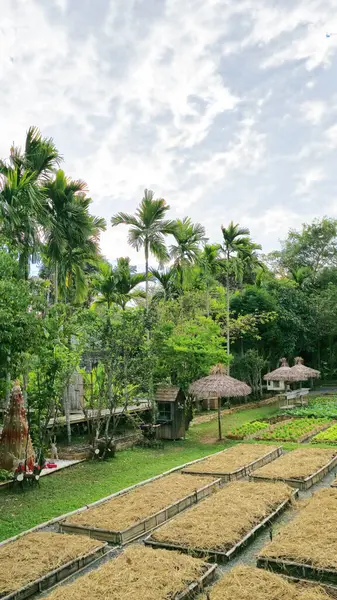 Tayland, Khao Yai 'deki organik tarım arazisi.