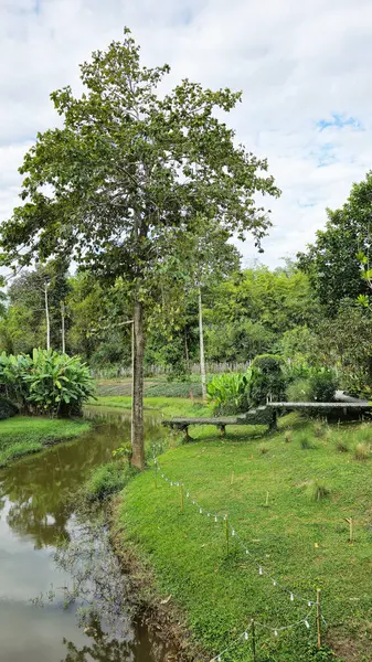Khao Yai, Tayland 'daki Tranquil Riverside Doğa