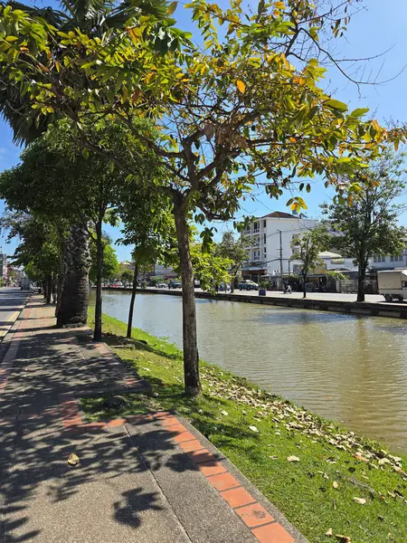 Canlı Chiang Mai Sokağı Sahnesi, Tayland