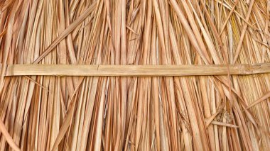 Kurumuş palmiye yapraklarından yapılmış geleneksel sazdan çatının doğal dokusunu ve katmanlı yapısını gösteren detaylı bir görünümü var.