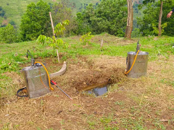 Portakal Hortumlu Tarım İlacı Spreyleri Çimen Tarlasına yerleştirildi