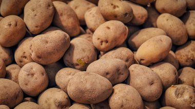 Geleneksel pazarda taze çiğ patates yığını, yemek blogları, sağlık makaleleri ve yerel mutfak tasarımları için ideal.