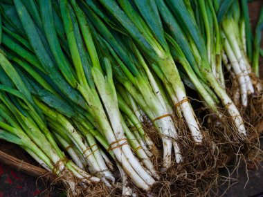 Geleneksel bir markette düzgünce istiflenmiş taze yeşil soğan yığını. Yüksek kalite fotoğraf