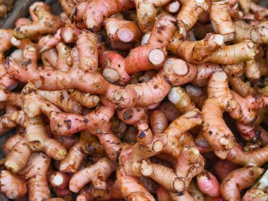 Büyük bir yığın taze zerdeçal kökü kaba kahverengi derisi ve pazarda görünen turuncu eti var. Yüksek kalite fotoğraf