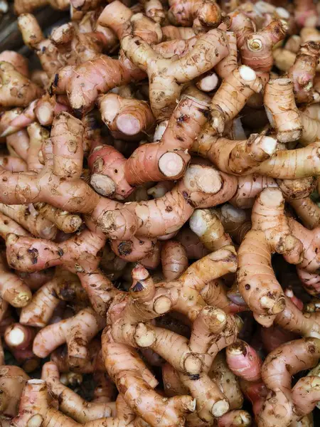 Büyük bir yığın taze zerdeçal kökü kaba kahverengi derisi ve pazarda görünen turuncu eti var. Yüksek kalite fotoğraf