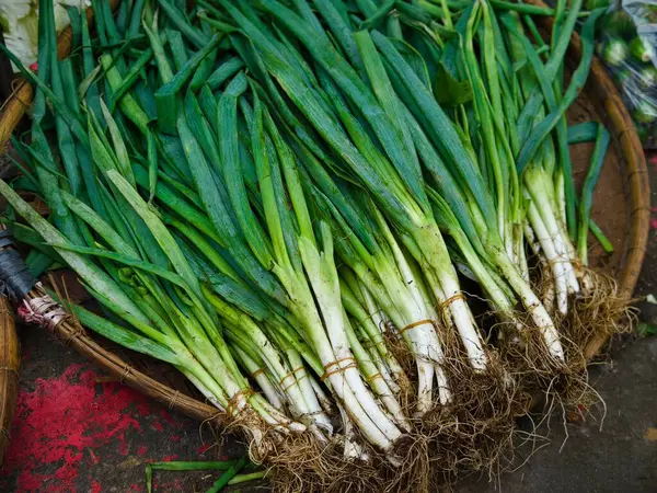 Geleneksel bir markette düzgünce istiflenmiş taze yeşil soğan yığını. Yüksek kalite fotoğraf
