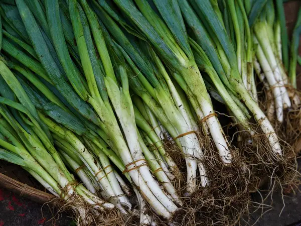 Geleneksel bir markette düzgünce istiflenmiş taze yeşil soğan yığını. Yüksek kalite fotoğraf
