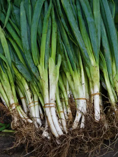 Geleneksel bir markette düzgünce istiflenmiş taze yeşil soğan yığını. Yüksek kalite fotoğraf