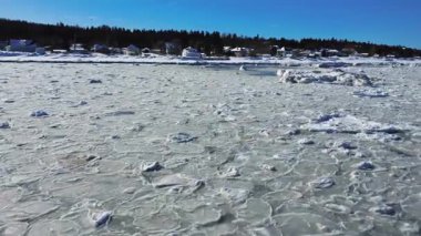 Küçük bir deniz kuşunun mavi bir gökyüzünün altına indiği donmuş okyanusun yüzeyinde yüzen 2 blok buz arasında alçak irtifada geçiş..