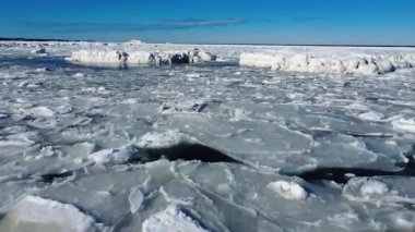 Küçük bir deniz kuşunun mavi bir gökyüzünün altına indiği donmuş okyanusun yüzeyinde yüzen 2 blok buz arasında alçak irtifada geçiş..