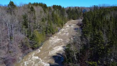 Bir dağ evi, eriyen bahar karıyla şişmiş azgın bir nehre bakar, bir ormandan akan kahverengimsi bir su seline. Tartigou Nehri, Quebec, Kanada, 2025.