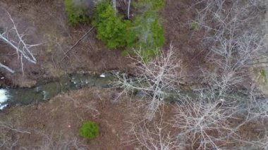 Rüzgarda sallanan ağaçların olduğu bir bahar ormanında akan küçük bir derenin havadan görünüşü..