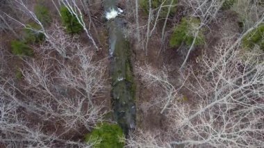 Rüzgarda sallanan ağaçların olduğu bir bahar ormanını geçen küçük bir derenin tepelerinde uçuyorum..