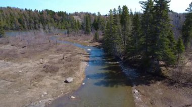 Bir insansız hava aracı somon nehrinin bir dalının üzerinden ve yukarısından birkaç arabanın geçtiği çift kemerli beton yol köprüsüne uçuyor. Mitis Nehri, Quebec, Kanada, 2025.