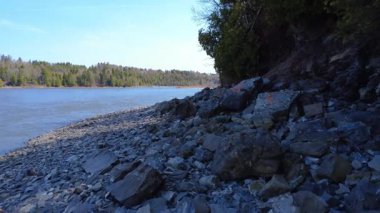 Mavi bir gökyüzünün altında sakin bir somon nehrinin kayalık, gölgeli bir kıyısında. Mitis Nehri, Quebec, Kanada, 2025.