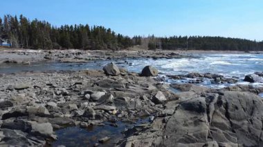 Kayalık bir kıyı şeridinde alçaktan uçmak ve açık mavi gökyüzünün altında ormanı olan okyanus dalgaları. Metis-sur-Mer, Quebec, Kanada, 2025.