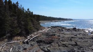 Yoğun yeşil bir orman, dallarla kaplı kayalık bir kıyı şeridi ve parlak mavi bir gökyüzünün altında kıyıya nazikçe vuran okyanus dalgalarının yer aldığı pitoresk bir kıyı manzarası. Metis-sur-Mer, Quebec, Kanada, 2025.