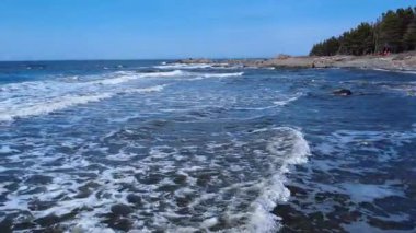 Kayalık bir sahilde küçük dalgalar kırılır ve köpük köpürür. Bir orman, uzak bir kulübe ve arka planda mavi bir gökyüzü vardır. Mtis-sur-Mer, Quebec, Kanada, 2025