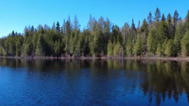 Sakin orman gölü, açık mavi gökyüzünün altındaki ağaçları yansıtıyor. Huzuru ve doğal güzelliği çağrıştırıyor..