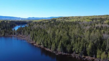 Bereketli bir ormanın üzerinde yavaşça yükselen panoramik manzara, güneş ışığı ve huzur dolu gölleri çevreleyen yeşil göller. Lac Paquet, Sayabec, Quebec, Kanada.