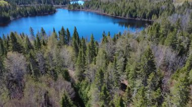Bereketli ormanlarla çevrili bir göl kuşbakışı. Durgun su mavi gökyüzünü yansıtır ve arka planda bir sıradağ ile barışçıl bir atmosfer yaratır. Lac Paquet, Sayabec, Quebec, Kanada.