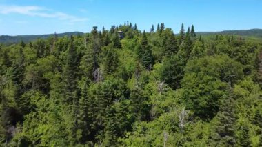 İnsansız hava aracı görüntüsü yemyeşil bir dağ ormanının tepesindeki uzak bir gözlem kulesine doğru uçuyor. Seigneurie du Lac Matapdia, Quebec, Kanada, 2025.
