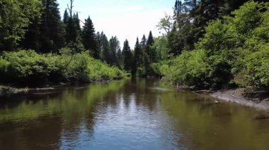 Bereketli yeşillik, sakin sular ve canlı bir atmosferi olan huzurlu bir nehir manzaralı ormandan akıyor. Rahatlama, sükunet, doğal güzellik ve açık hava keşfi için ideal tasvir.