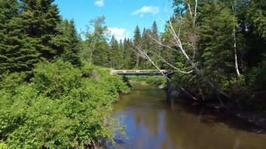 İnsansız hava aracı videosu huzurlu bir nehirde uçuyor, bir orman köprüsünün altından geçene kadar ağaç dallarından geçiyor..