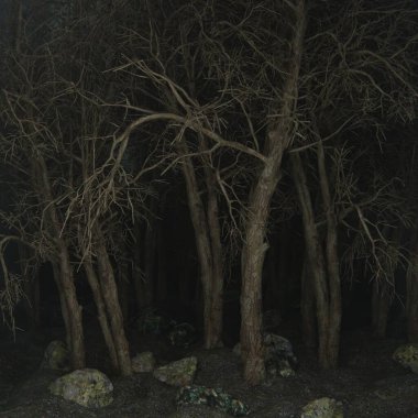 Ormanın atmosferinde kırmızı ışık. Korku sahnesi. Karanlık, ürkütücü.