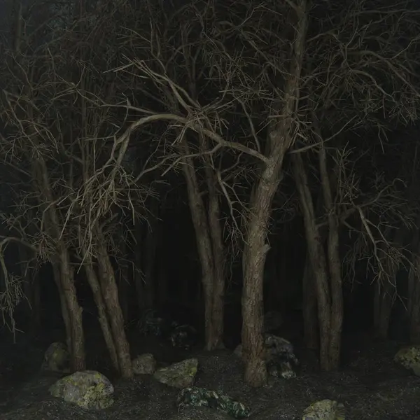 Ormanın atmosferinde kırmızı ışık. Korku sahnesi. Karanlık, ürkütücü.