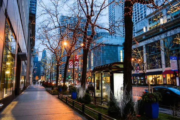 Chicago Kış Sokağı, Chicago, Illinois, ABD