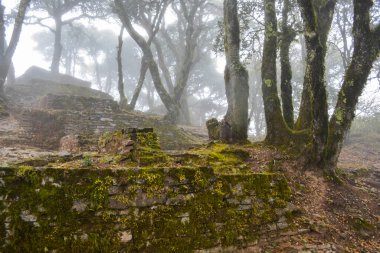 Ranas Harabeleri, San Joaquin, Meksika
