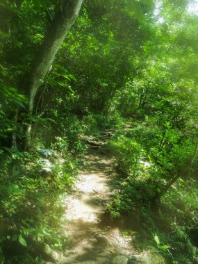 Tamul Şelalesi, San Luis Potosi, Meksika