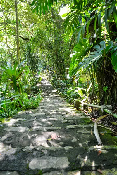 Xilitla, San Luis Potosi, Meksika