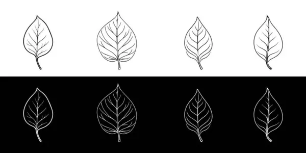 Yaprak vektörü kümesi