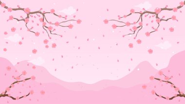 Kiraz çiçeği bahar çiçeği arka planı