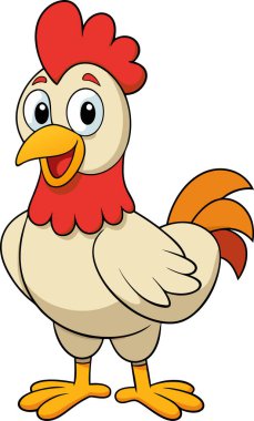 beyaz arkaplan resimli çizgi film tavuğu