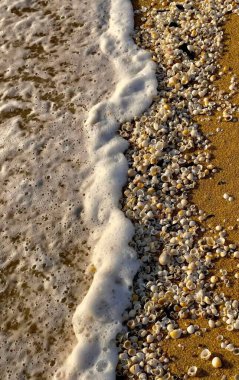 Sahil manzarası, beyaz kum, sakin ve güzel deniz suyu.