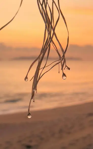 Sahil manzarası, beyaz kum, sakin ve güzel deniz suyu.