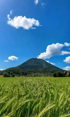 Yeşil ağaçların ve yaprakların manzarası, nehirler, göller, bulutlar, gökyüzü, güneş ve güzel doğa.