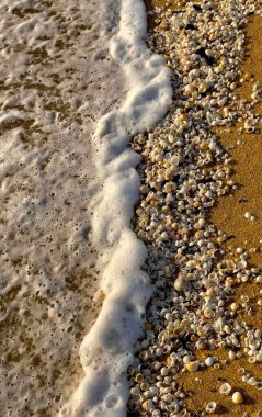 Deniz suyu, kumsal, kum, bulut, gökyüzü, çiçekler, günbatımı ve doğa resimleri çok güzel.