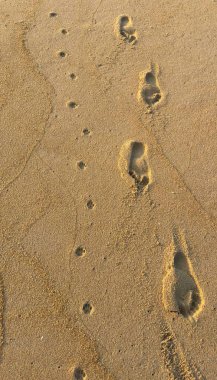 Deniz suyu, sahil, kum, bulut, gökyüzü, günbatımı ve doğa resimleri çok güzel.