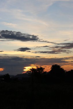 Gün batımında ağaçların, bulutların ve gökyüzünün manzarası