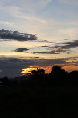 Gün batımında ağaçların, bulutların ve gökyüzünün manzarası
