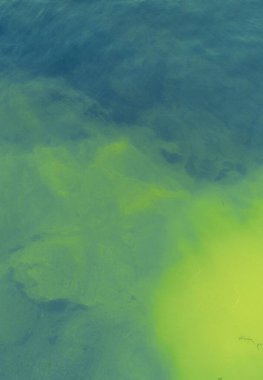 serin duvar kağıdı ve arkaplan resimleri