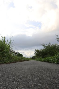 Güzel sokak manzarası ve ağaçlar, yapraklar, bulutlar ve gökyüzü
