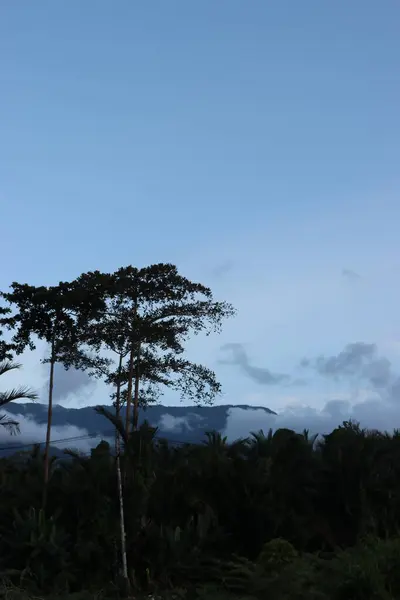 Güzel yeşil yapraklar, bulutlar ve gökyüzü manzarası