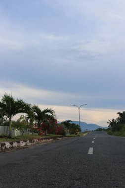 Yol kenarındaki yeşil ağaçların ve yaprakların gölgeli bulutların ve mavi gökyüzünün görüntüsü.